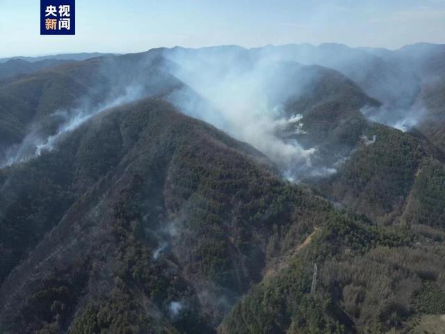 天水黄金大道挤爆了！金叶铺地万人打卡，治愈系浪漫刷爆朋友圈