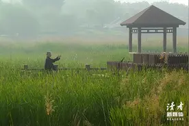 余生，和相处舒服的人在一起图片