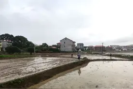 农药兑水后放置3天能继续使用吗？看情况使用，宜现配现用图片