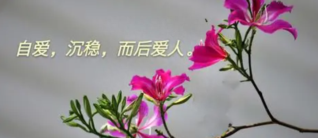 女子在车上与陌生男子发生关系，称：你比我男朋友厉害多了