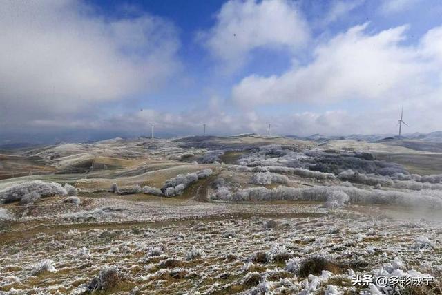 贵州威宁：雾凇覆高原 仙境入画来