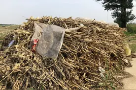 故事：姐夫被执行死刑当天，爸爸和姐夫最后十分钟会面，撕心裂肺图片