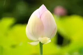 让自己越来越好的6个方法，掌握了受益一生图片