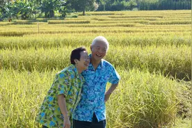 李昌平的“三农”预测：未来30年，大约有10%的村庄会成为养老村图片