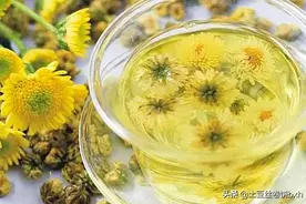 建议：中老年朋友，喝菊花茶牢记“2喝3不喝”，神清气爽气色佳图片