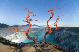 不管什么病，一定要灸腿！它是人体四根之根本！图片