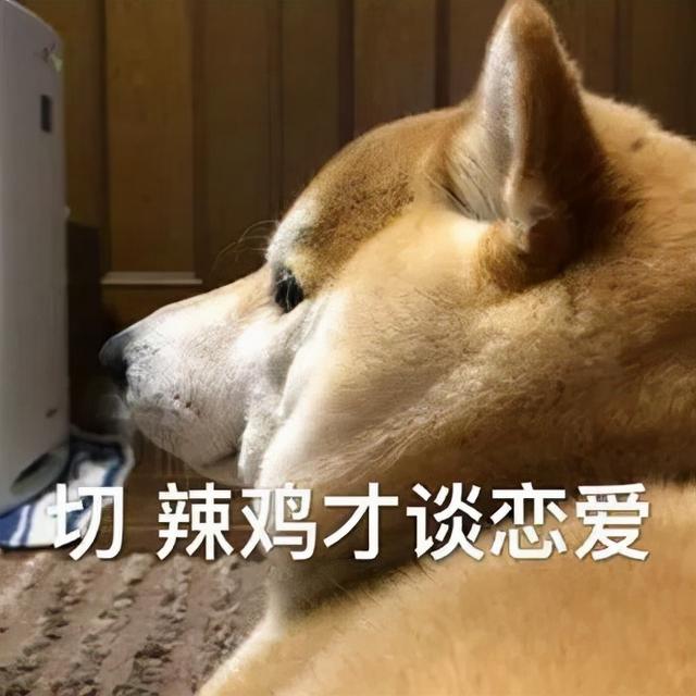 全国第一相亲App出事！会员聊天记录随便看，隐私全没了