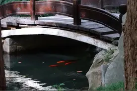 丹枫迎秋、金桂飘香，沪上高校秋景图来啦！哪个校园是你眼中最美？图片