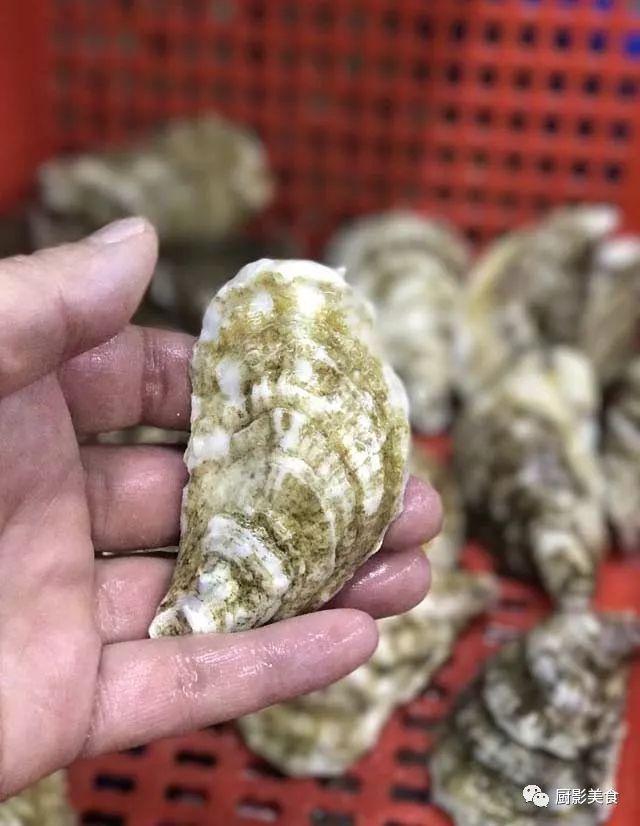 40头的花胶是几级 2025年花胶40头是什么意思?