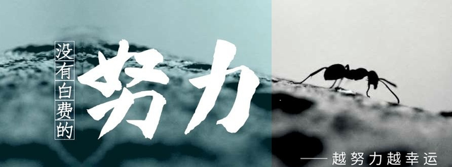 想创业,做什么项目,成功率更高?