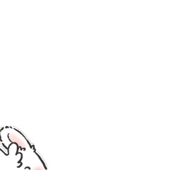 于洪区网站建设选择（沈阳于洪区发布招录公告）