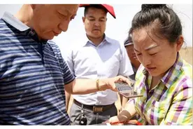 “白虎穿堂，家败人亡”，在建筑理念下是什么意思？图片