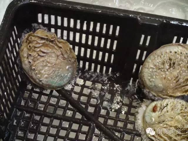 40头的花胶是几级 2025年花胶40头是什么意思?