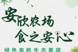 安欣农场精选“刺嫩芽”上市啦！图片