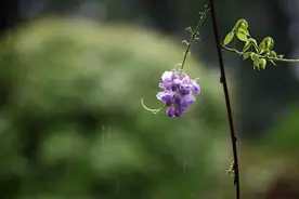 这四种人，和我们其实是两个世界的人，遇到了别轻易靠近图片