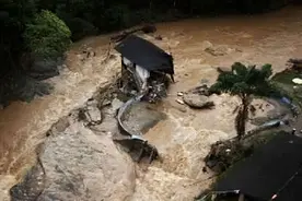 长江沿岸多次发生“走蛟”，蛇真能化蛟？这是一种什么生物？图片