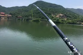 难怪草鱼迟迟不咬钩，原来是鱼层没找对！老手告诉你该钓多深图片