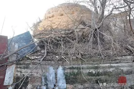 北京地区仅存的一座，清代公主坟遗址，亟待拯救图片