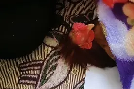 女子在院子里洗完衣服，跑进屋里一看后语塞了：你要成仙了吗？图片