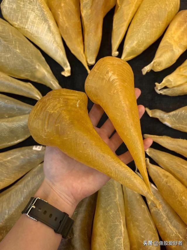 如何辨别鱼胶洗药 2026年如何辨别鱼胶洗药好坏