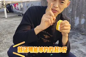 1.0的主线能钓多大的鱼？##鱼线主线推荐图片