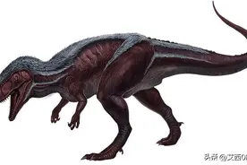 方舟综合指令代码大全图片