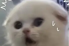 骗子是怎么知道我的快递信息的呢？图片