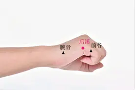 后溪穴，一穴通督脉图片