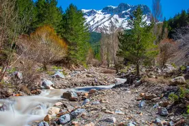 追女人的技巧：学会3步走，再克制的女人也会忍不住心动图片