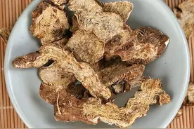 大腿根潮湿，下焦湿热怎么调才对？教你一招，横扫湿热，浑身轻松图片