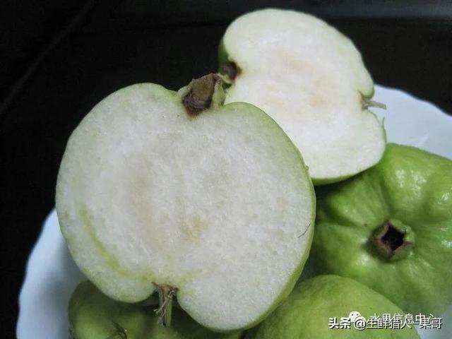小众水果芭乐，又被茶饮店们带火了，最全芭乐说明书