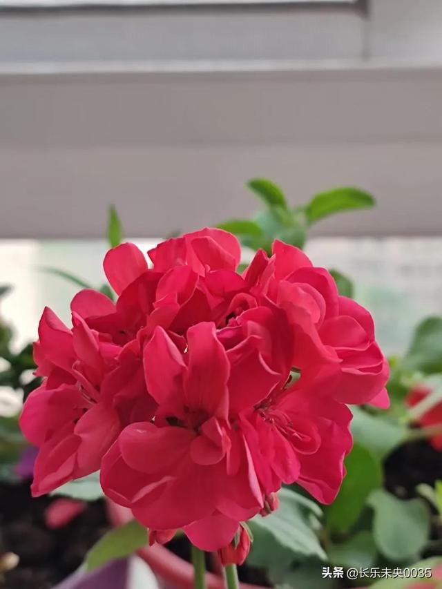 我的电脑情结，我是如何学会五笔打字的