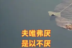 南宫教授对“民不畏威则大威至”的理解，让人耳目一新图片