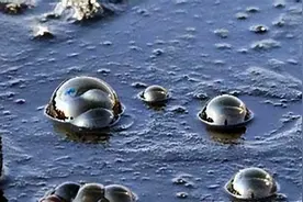 石油是怎么来的？根据产油地的不同，石油的品质也会有影响吗？图片