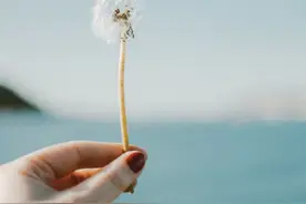 一个30岁男人的真诚道歉：对不起老婆！碰到我爸妈这样的我很无奈图片