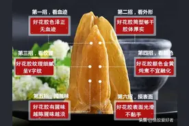 买鱼胶真的是越大越好吗？赶紧学会这几个技巧，买鱼胶一买一个准图片