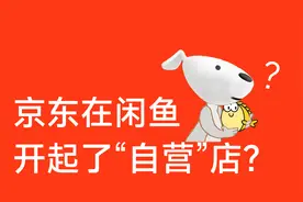 惊了！京东居然在闲鱼开起了”自营“店？夺宝岛到底是个啥？图片