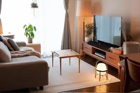 日本太太的一天：家务睡觉看电视，不生娃不社交，却让许多人羡慕图片