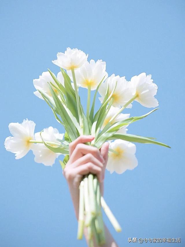 ʺϷȦĸɾİ