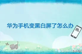 华为手机变黑白屏了怎么办图片