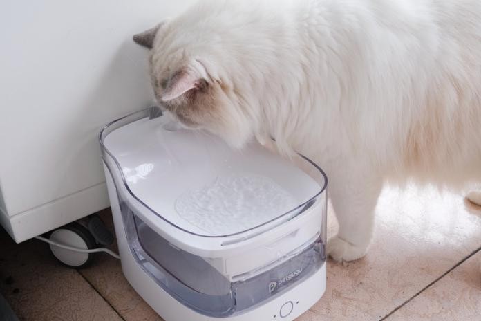 真水电分离,让小主子爱上喝水,宠咕咕猫咪饮水机