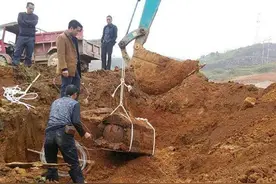 自古有言：“切莫迁坟，十迁九败”，这之中有什么道理呢？图片