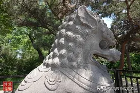 2023年5月东北访古简记（一）图片