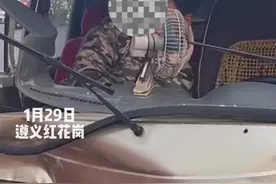两车相撞致一人被困、车头碎裂！遵义消防员火速营救图片