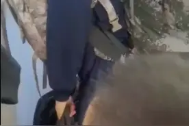 暖心！高铁上萌娃与兵哥哥互敬军礼图片