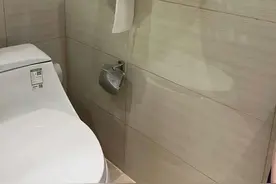 上厕所途中千万不要冲厕所图片