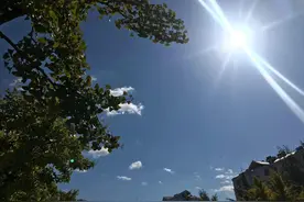 40岁我彻底告别了职场图片