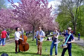 从阿里辞职后不再内卷——一位德国程序员的“躺平”之路图片