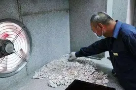 为什么遗体火化后，只有骨头却没有牙齿？图片