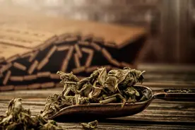 新冠肆虐的当下，艾草真如传说中这么神奇有效？图片